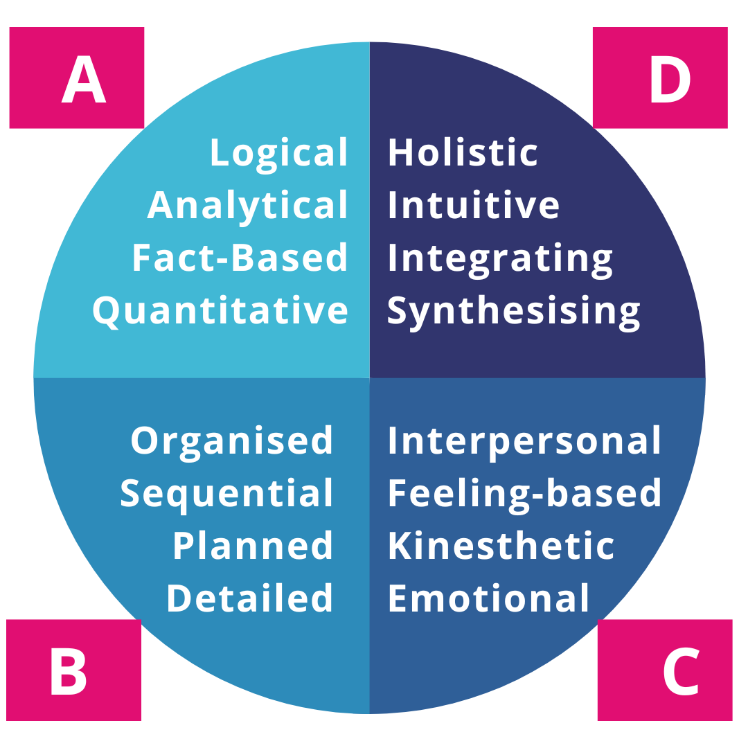 Herrmann four quadrants of the brain